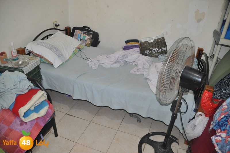 lud family boor (16).JPG